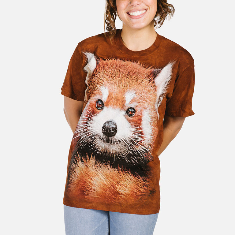 Red Panda Portrait