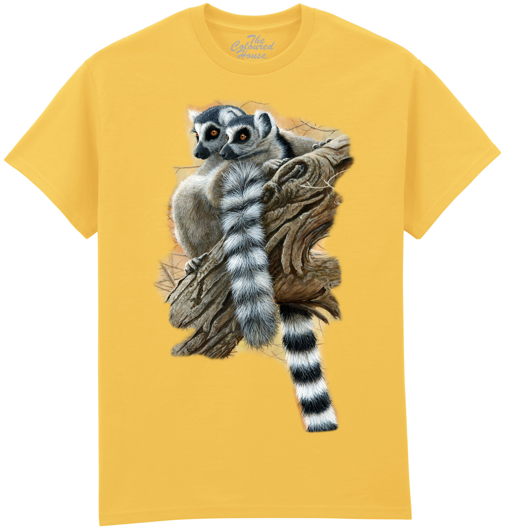 Heads And Tails - Ring Tailed Lemur