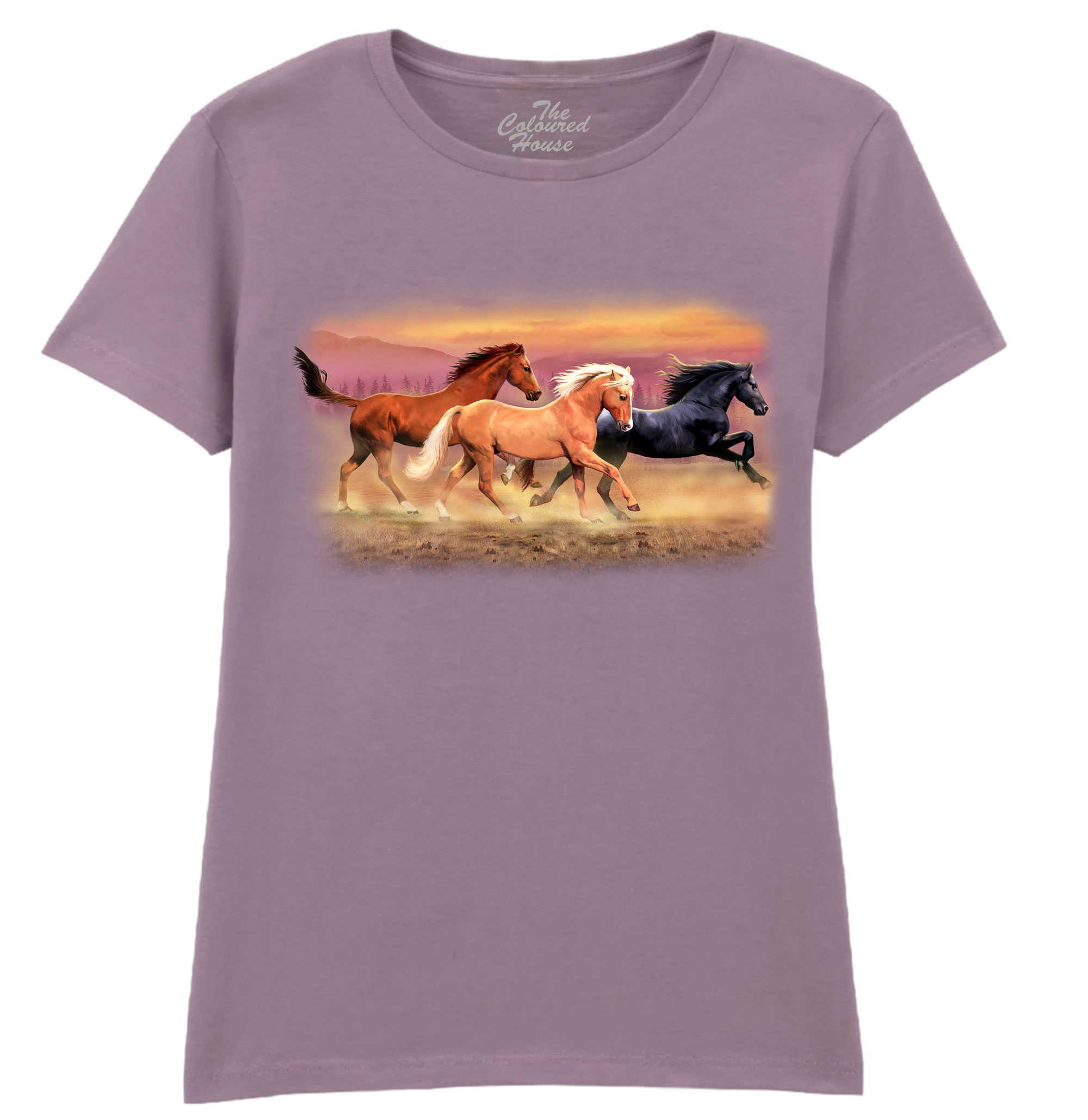 Running Free Horses Ladies T-shirt