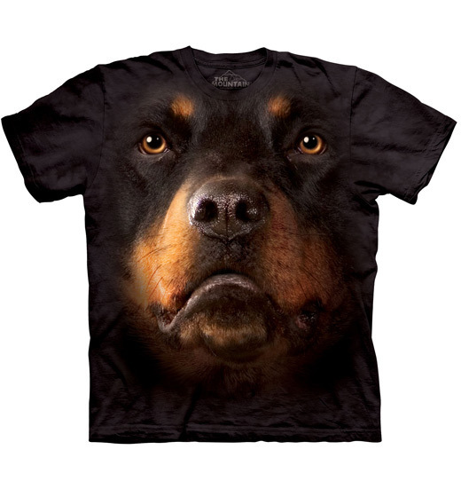 Rottweiler Face