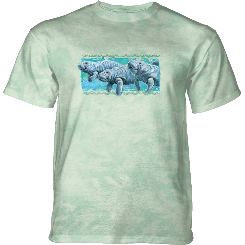 Manatee Harmony Band