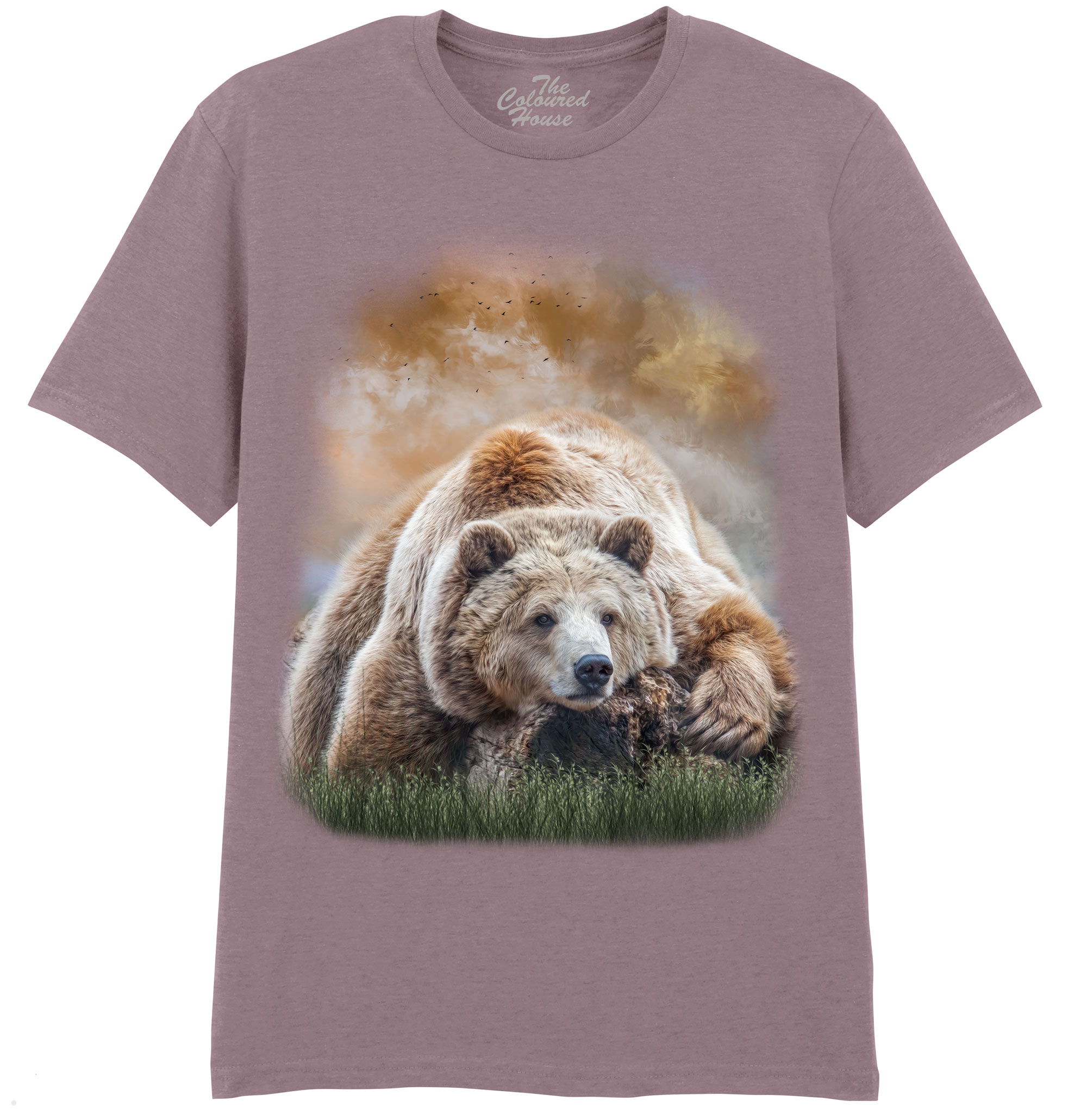 Bearly Awake