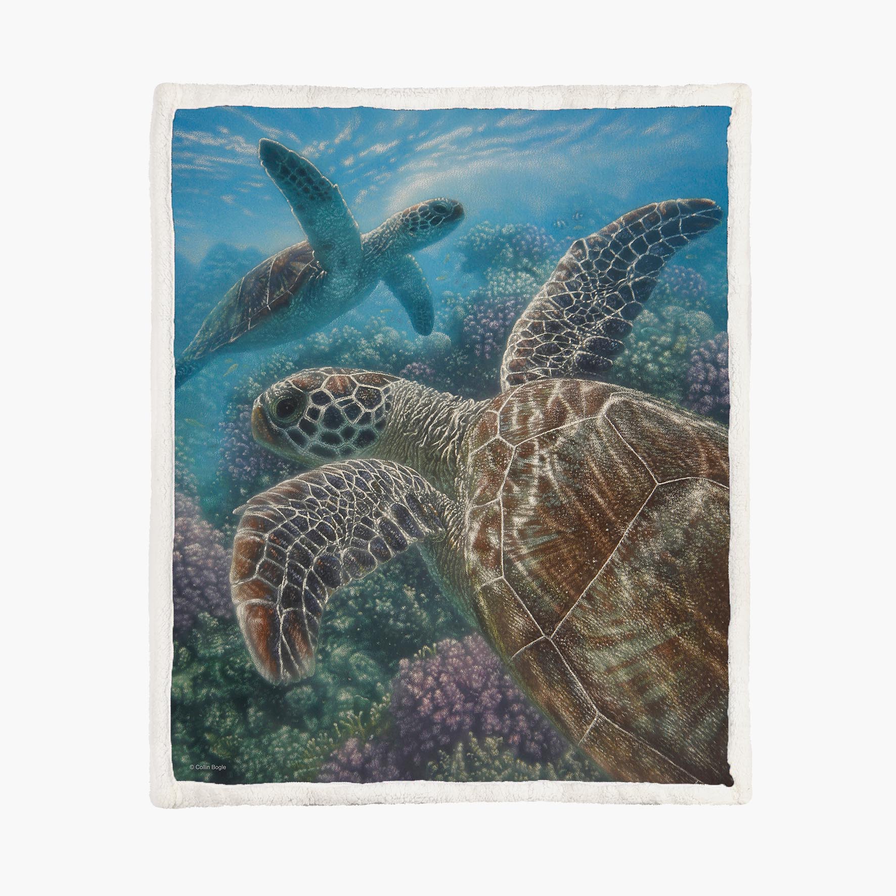 Turtle Bay - Size M - 130x150cm - Fleece Blanket