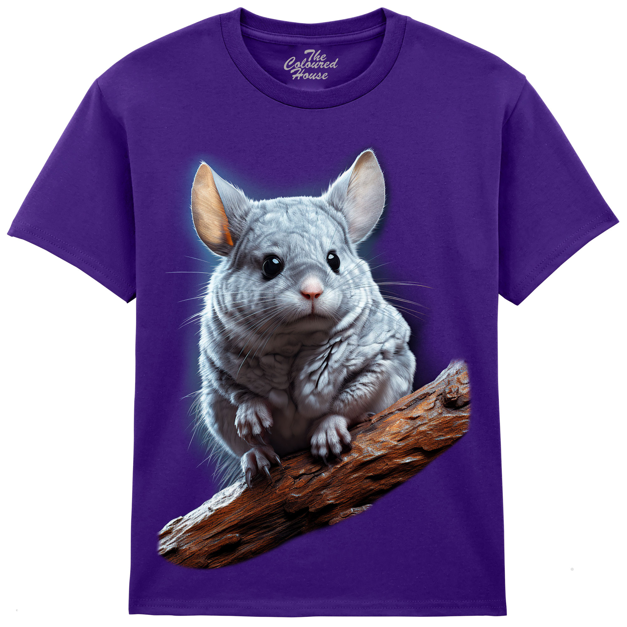 Chinchilla KIDS