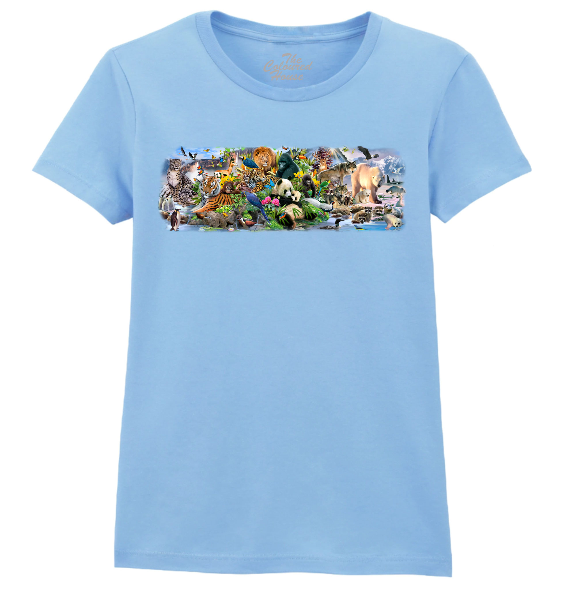 Around The World Ladies T-shirt