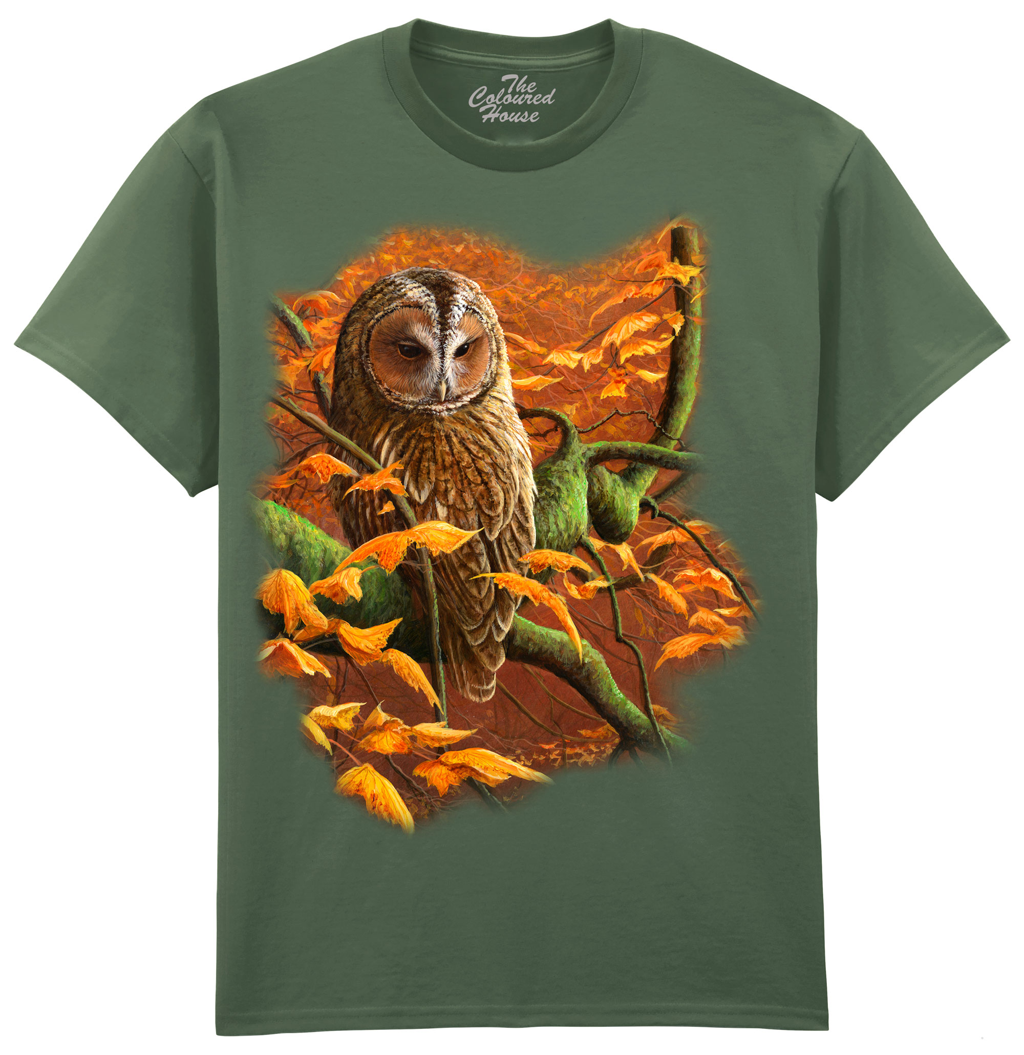 Autumn Tawny Owl