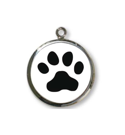 T29 Paw