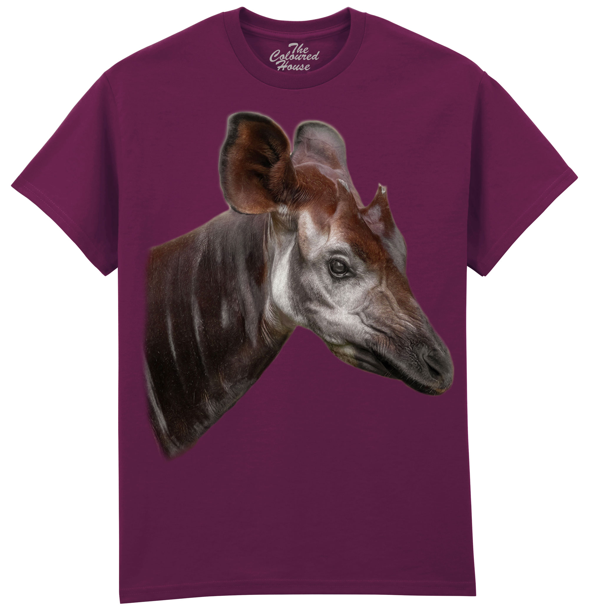 The Elusive Okapi The Elusive Okapi