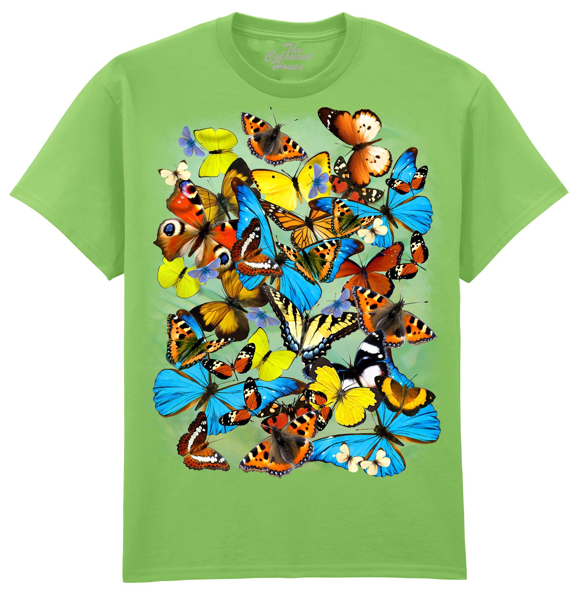 Butterflies Butterflies