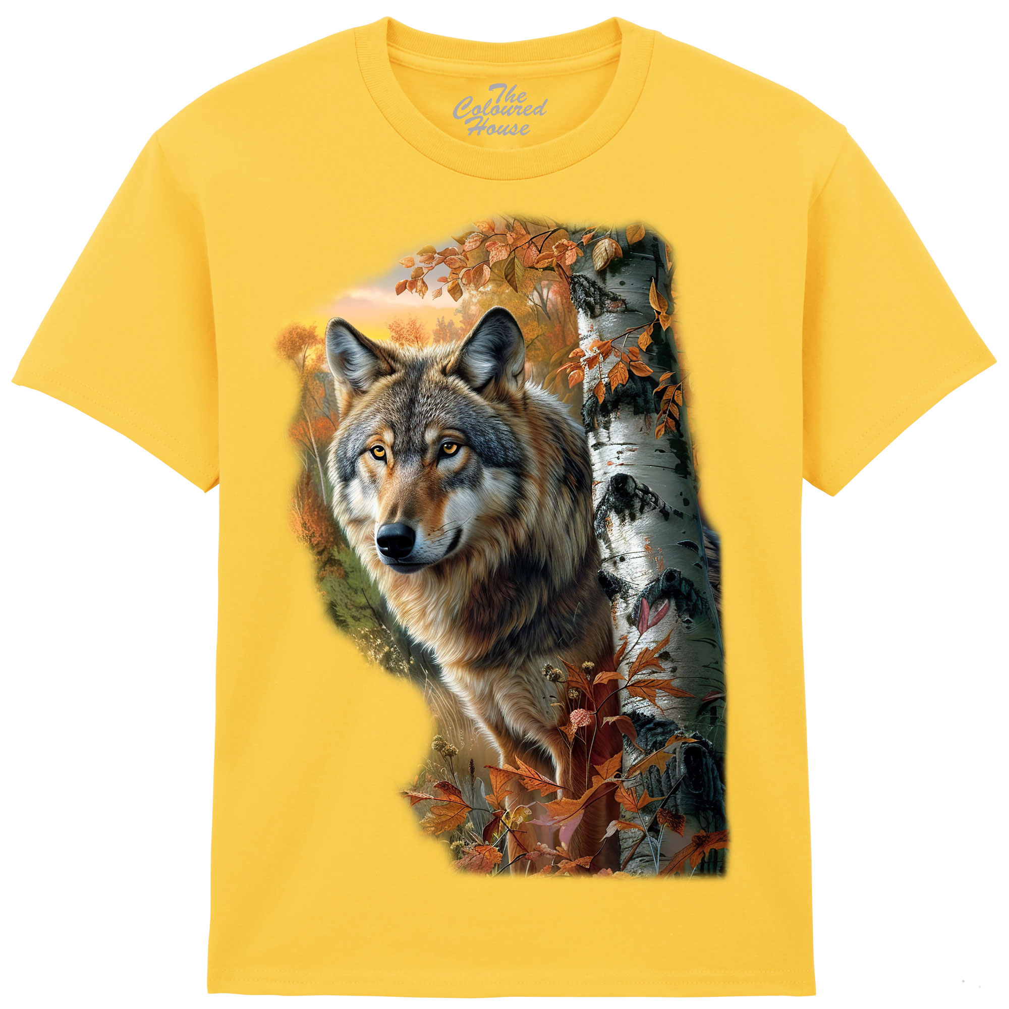 Forest Wolf Portrait KIDS