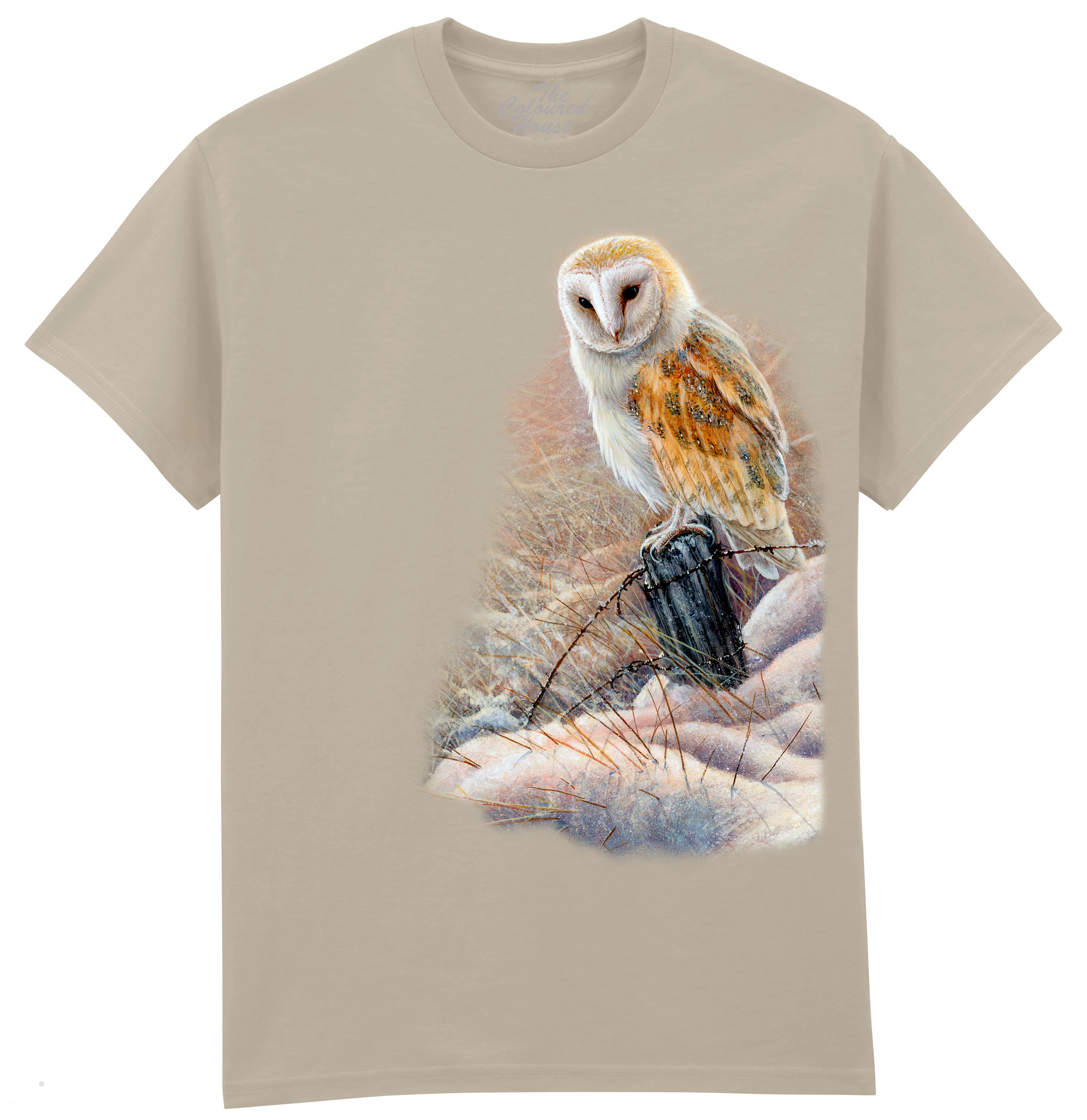 Winter Glow Barn Owl