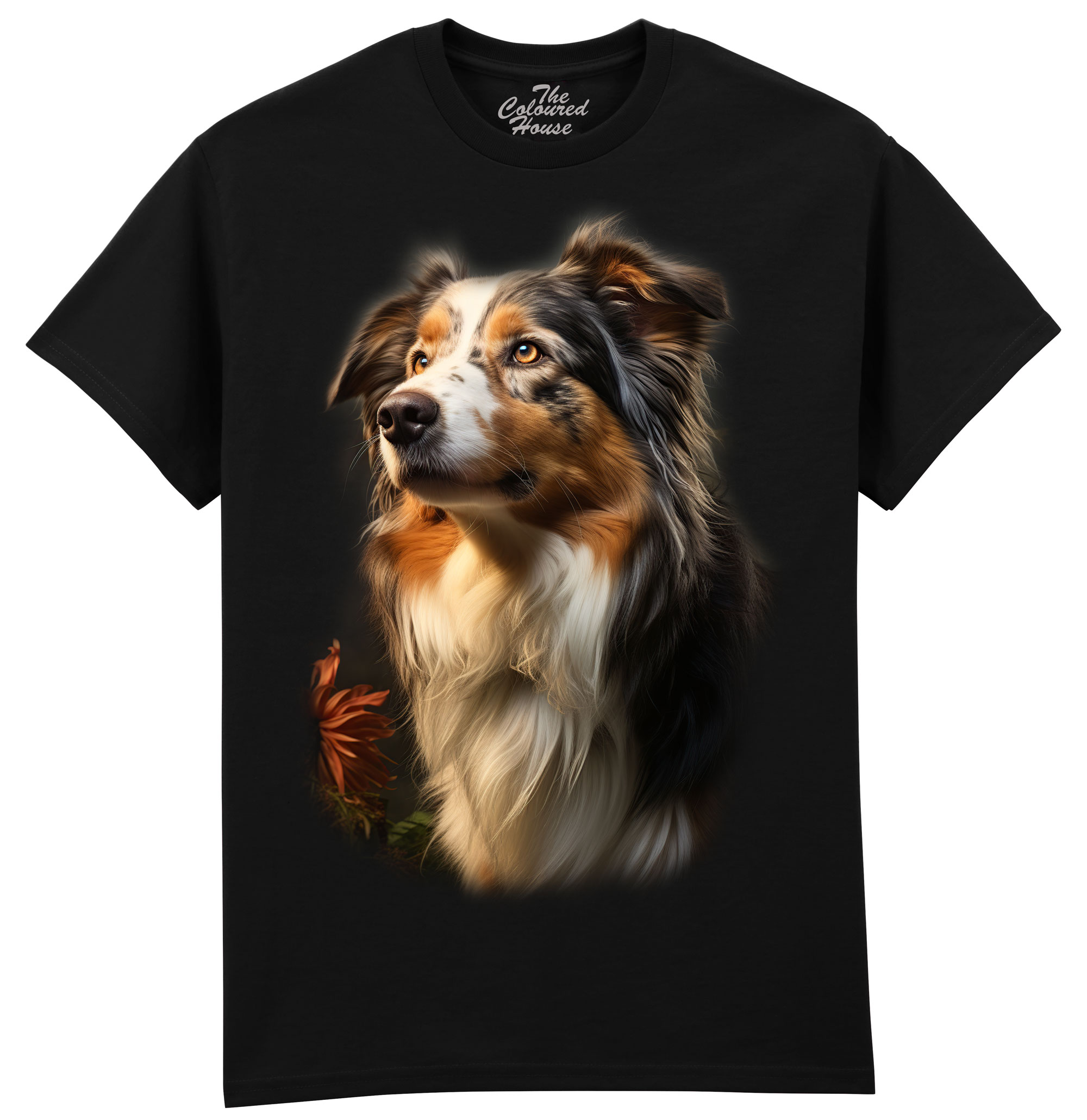 Australian Shepherd 