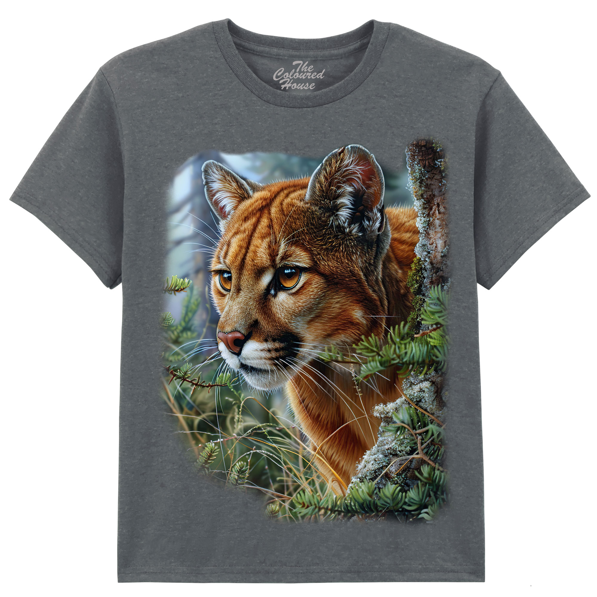 Mountain Lion Portrait KIDS