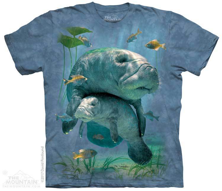 Manatees Collage