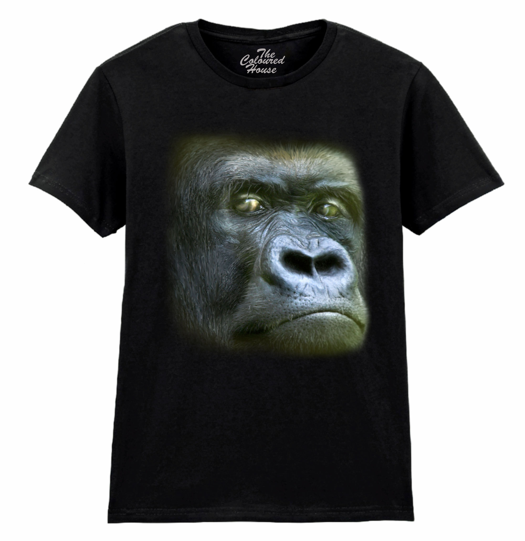 Wild Eyes - Silverback Ladies T-shirt