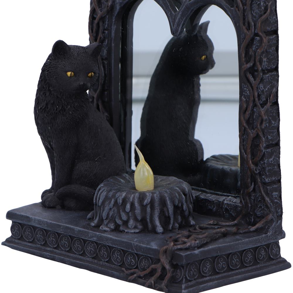 Cat Magic Mirror