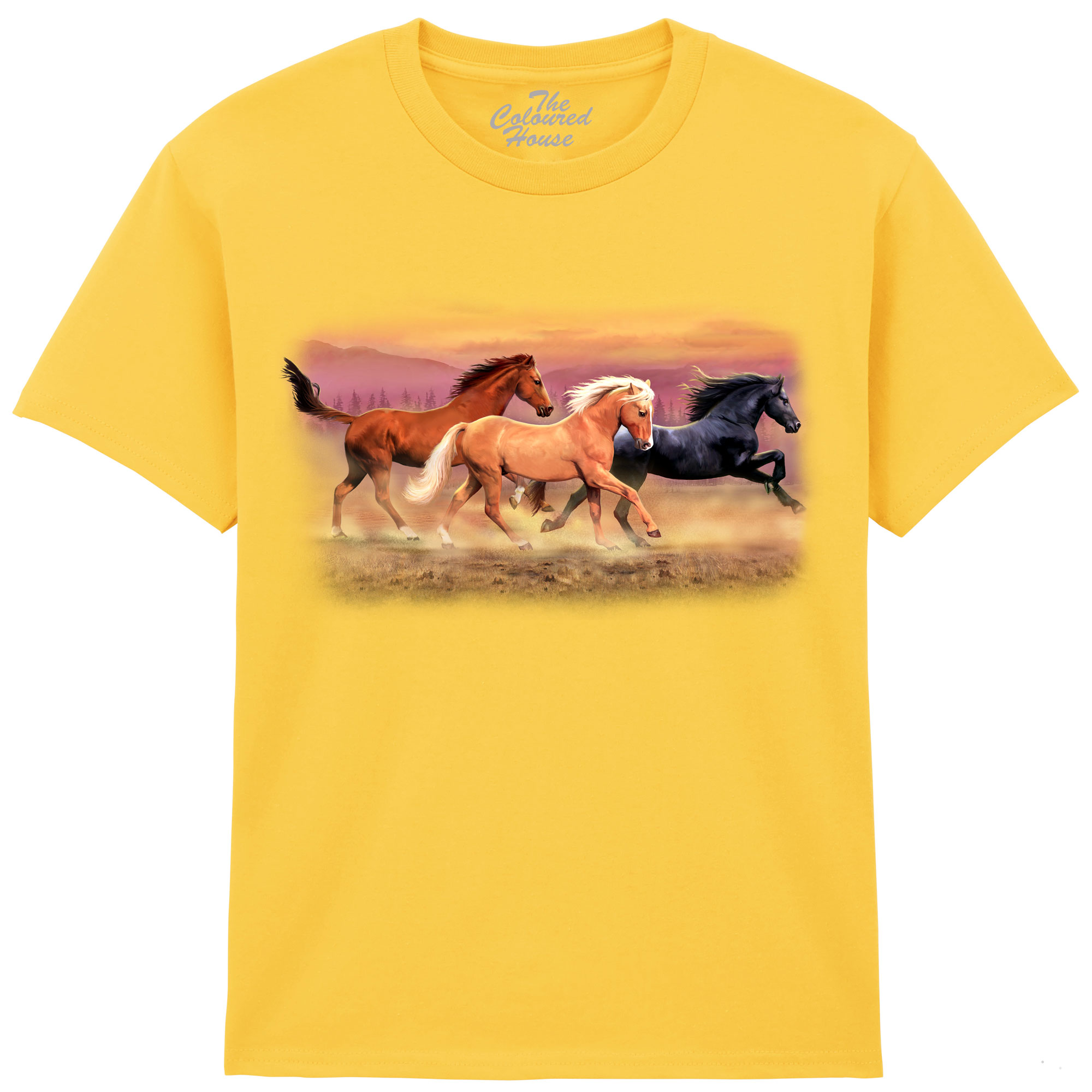 Running Free Horses KIDS