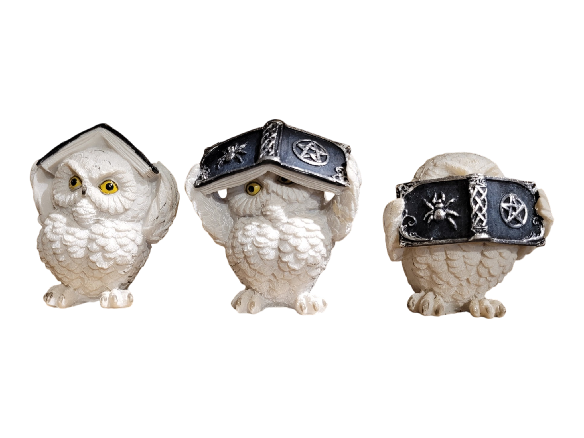 Three Wise White Owls Books