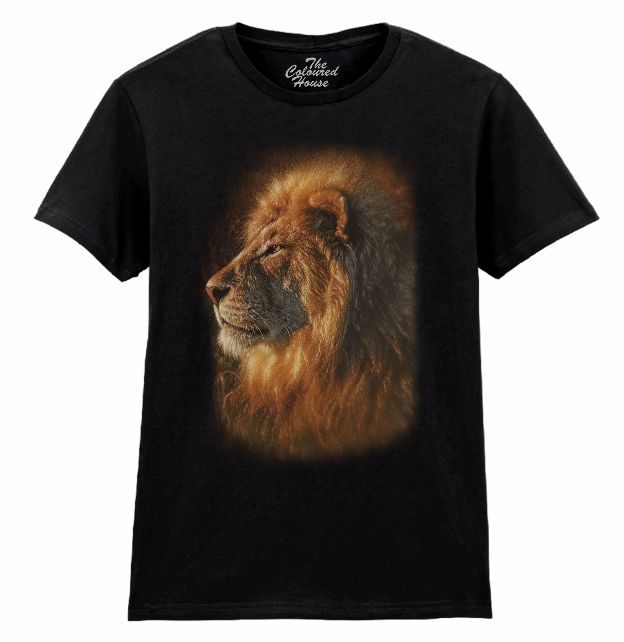 Sunbathing Lion Ladies T-shirt