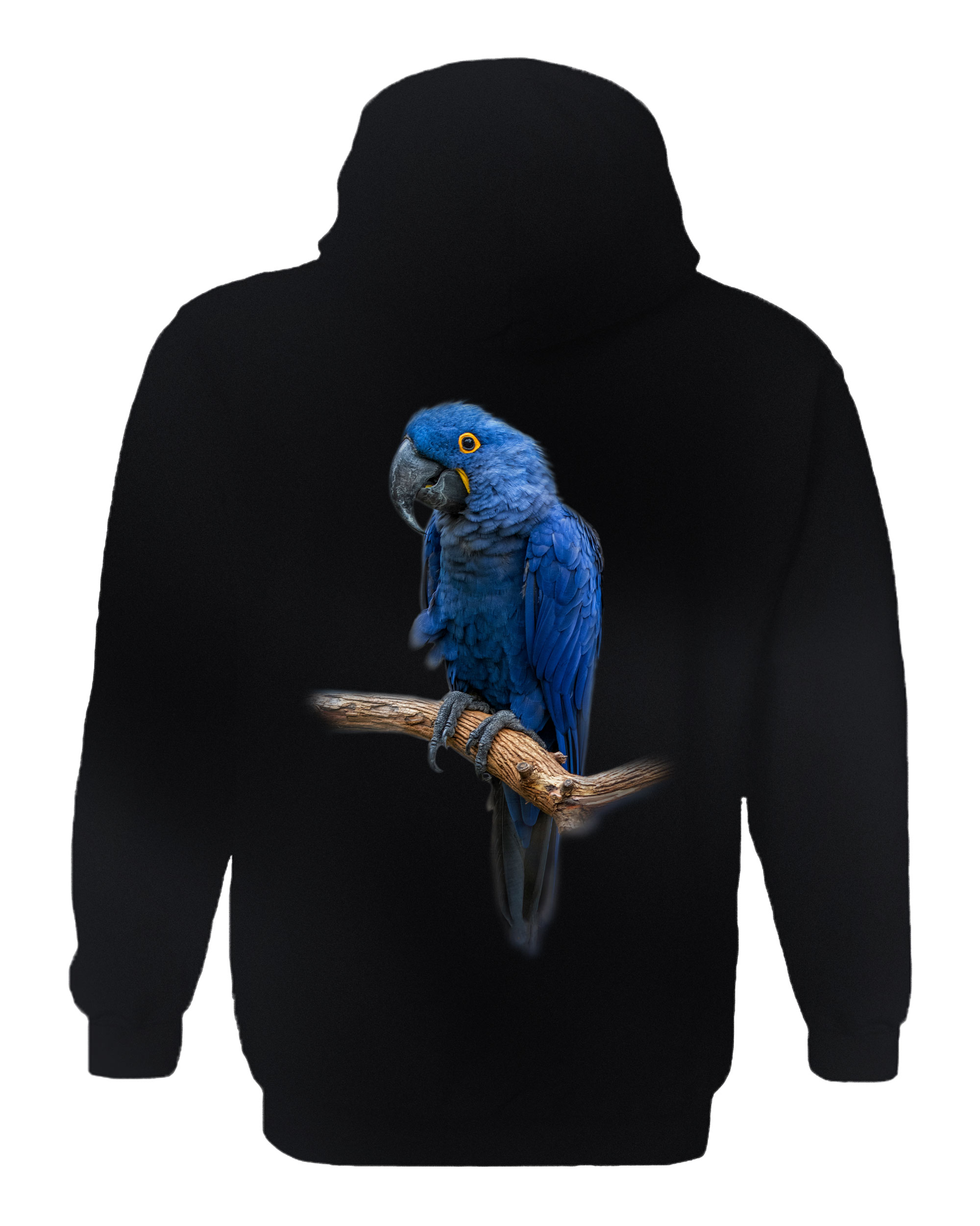 Blue Gem - Macaw Hoodie