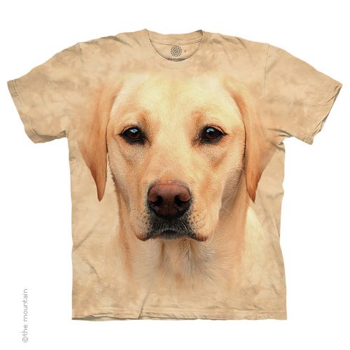 Yellow Lab Portrait