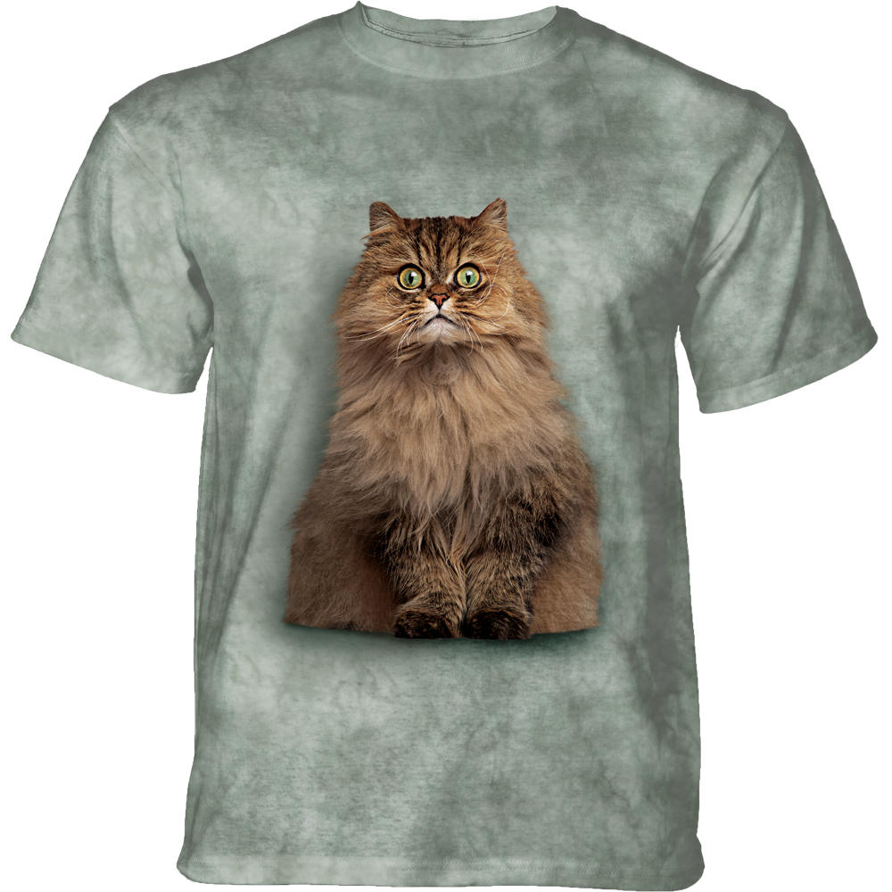 Longhair Persian Cat