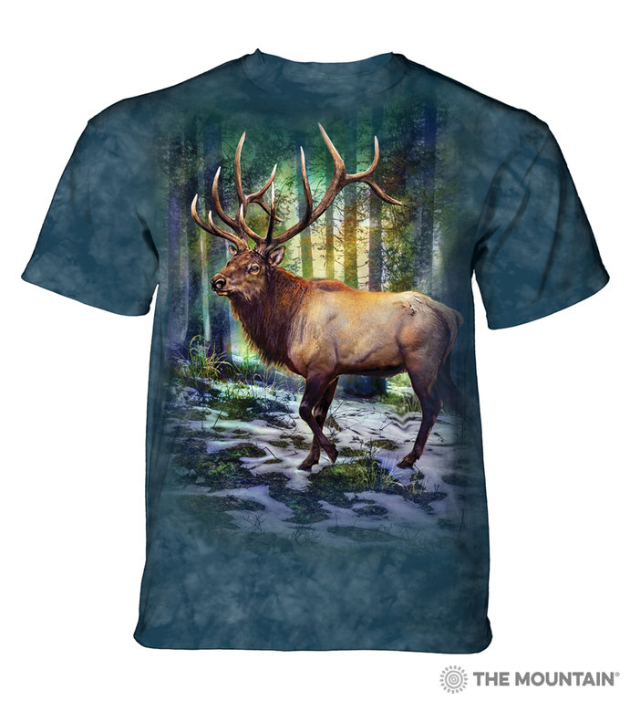 Sunlit Elk