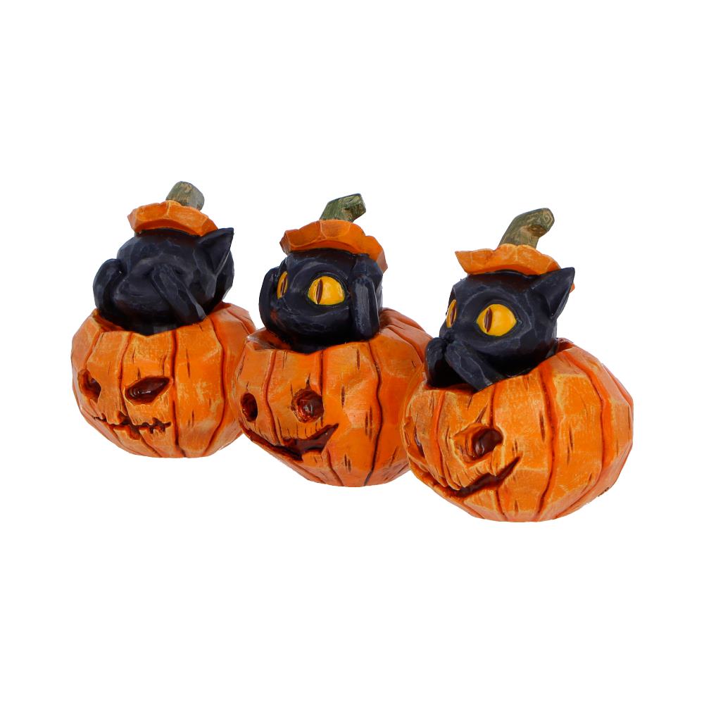Three Wise Pumpkin Patch - Cats 7.7cm