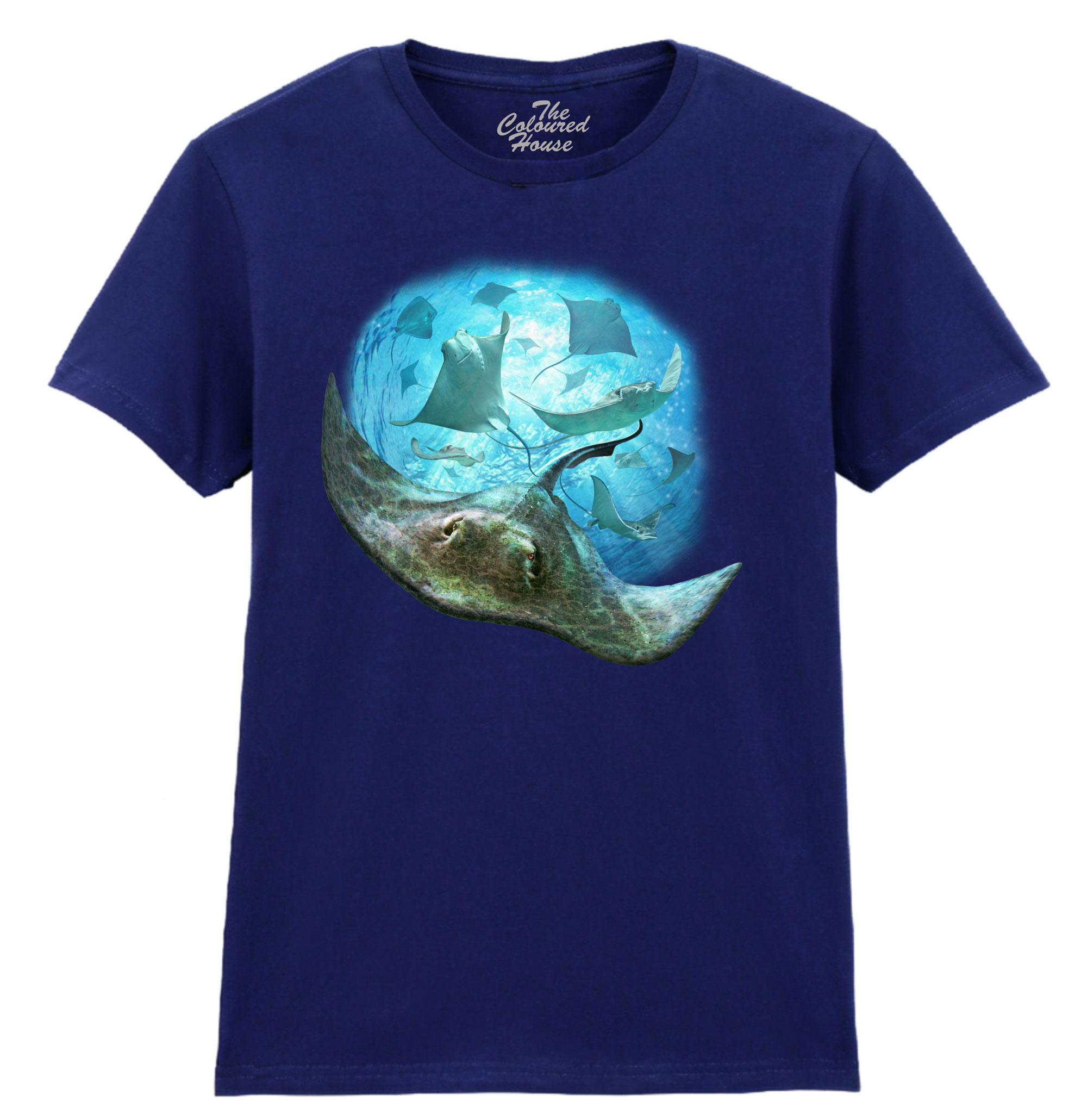 School Of Stingrays Ladies T-shirt
