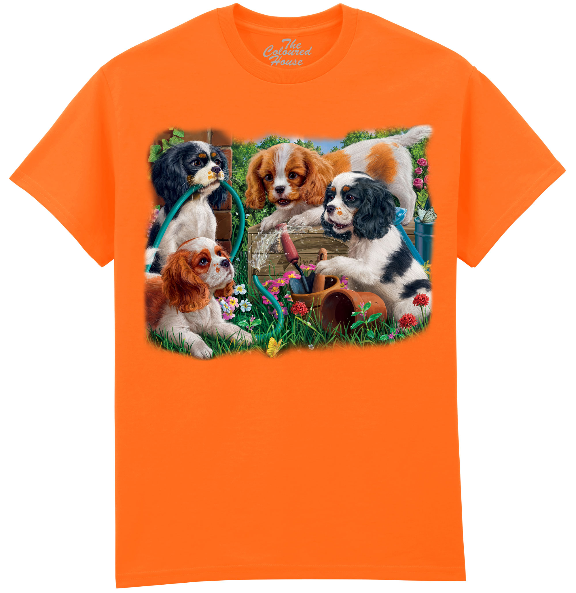 Puppies In The Garden