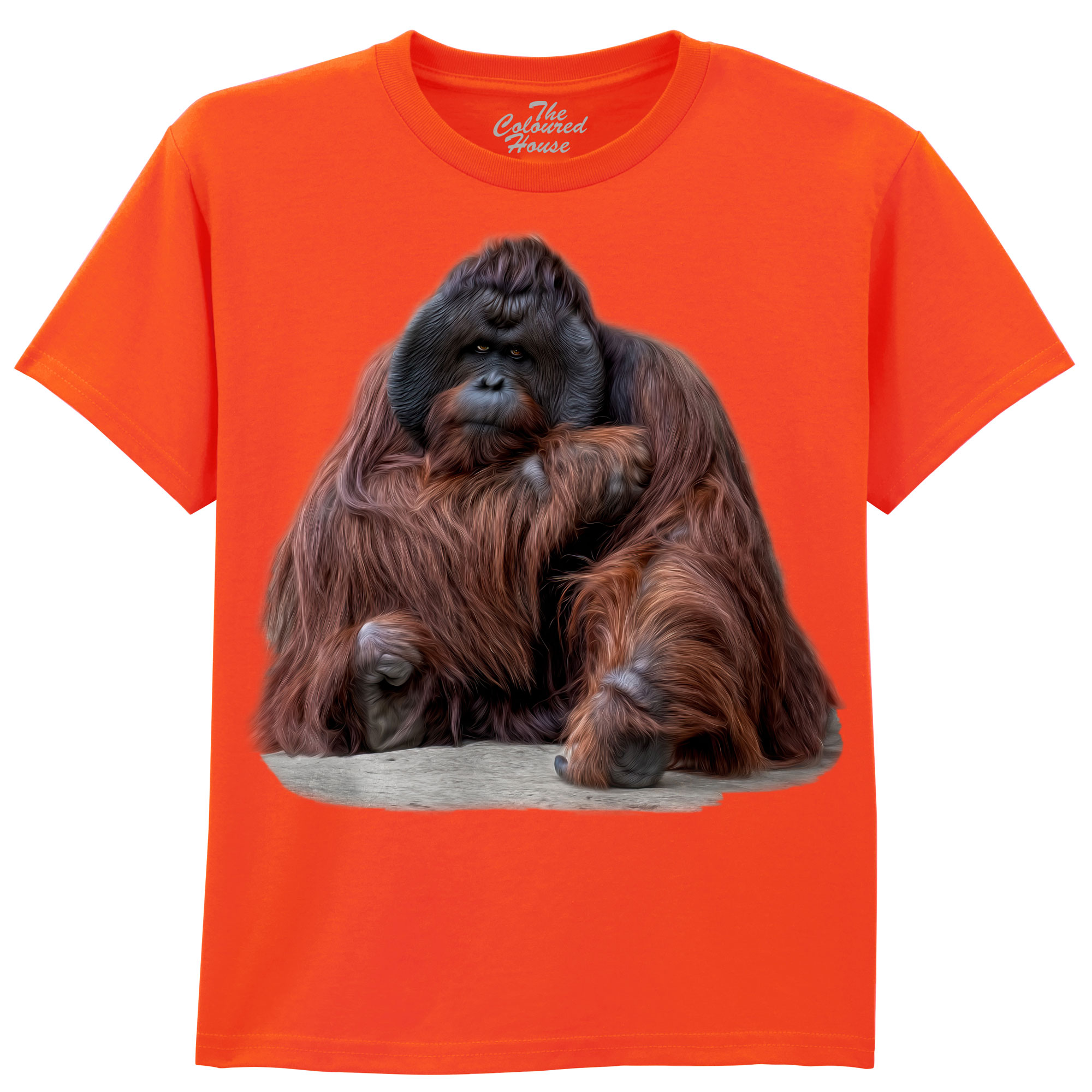 Wisdom Beyond Words - Orangutan KIDS Wisdom Beyond Words - Orangutan KIDS