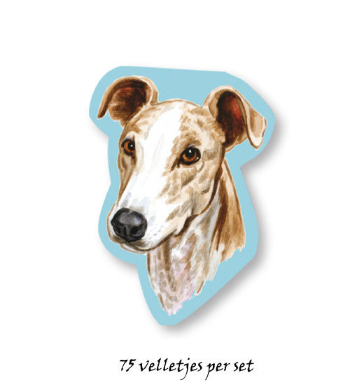 Greyhound
