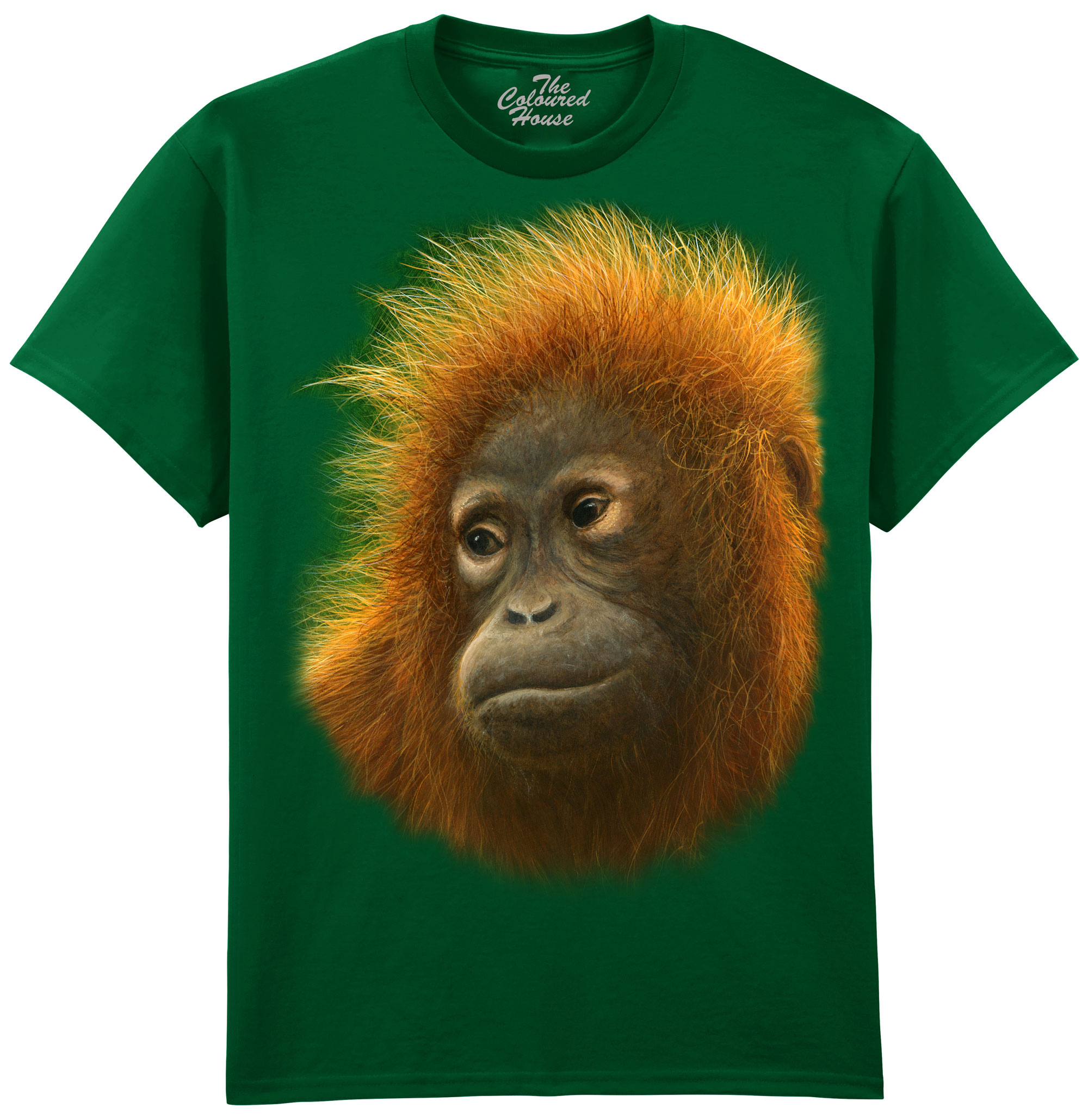 Fluffy Orangutan
