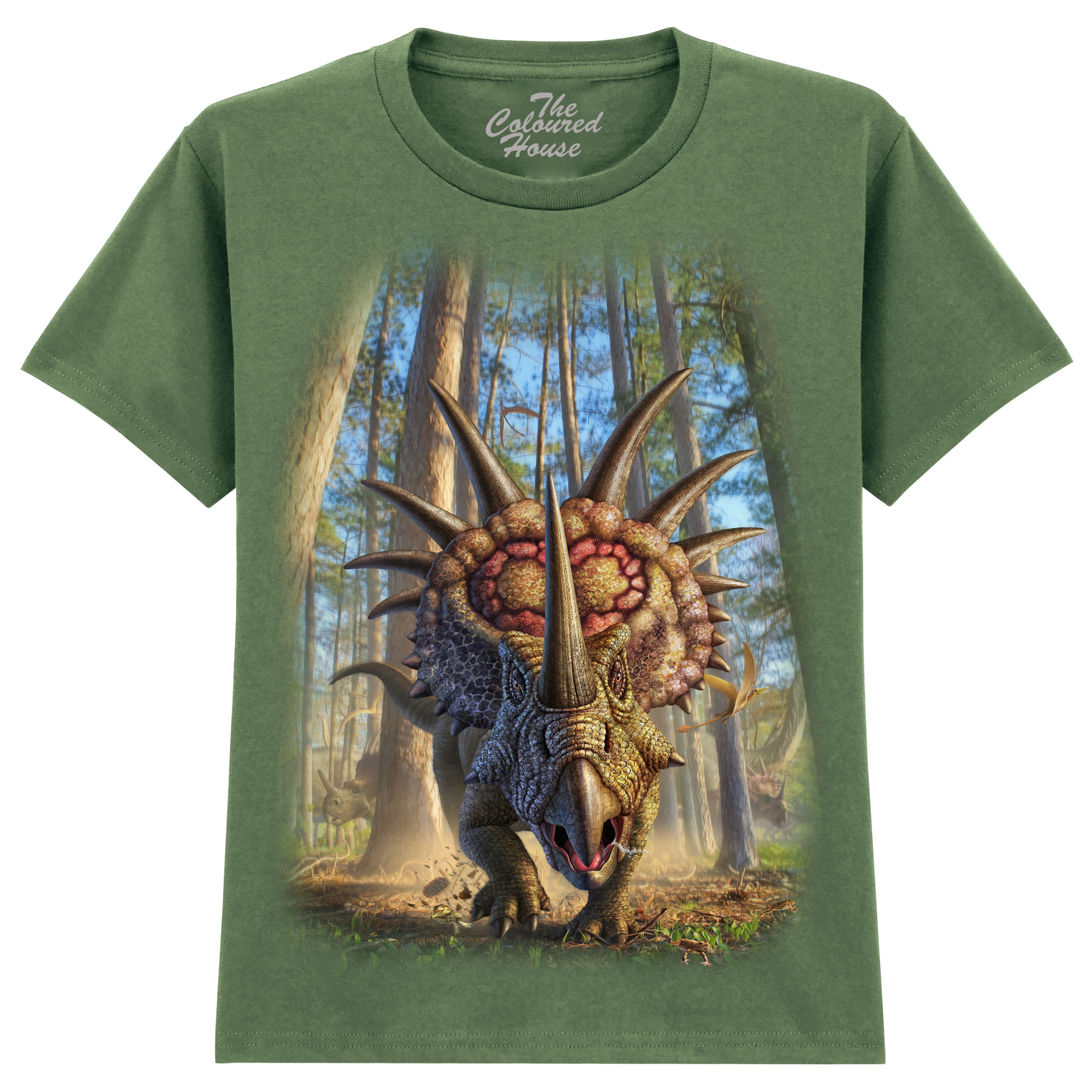 Styracosaur KIDS