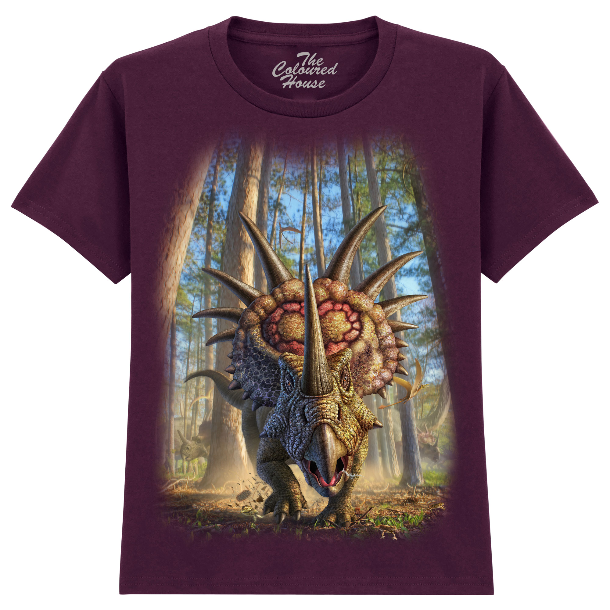 Styracosaur KIDS