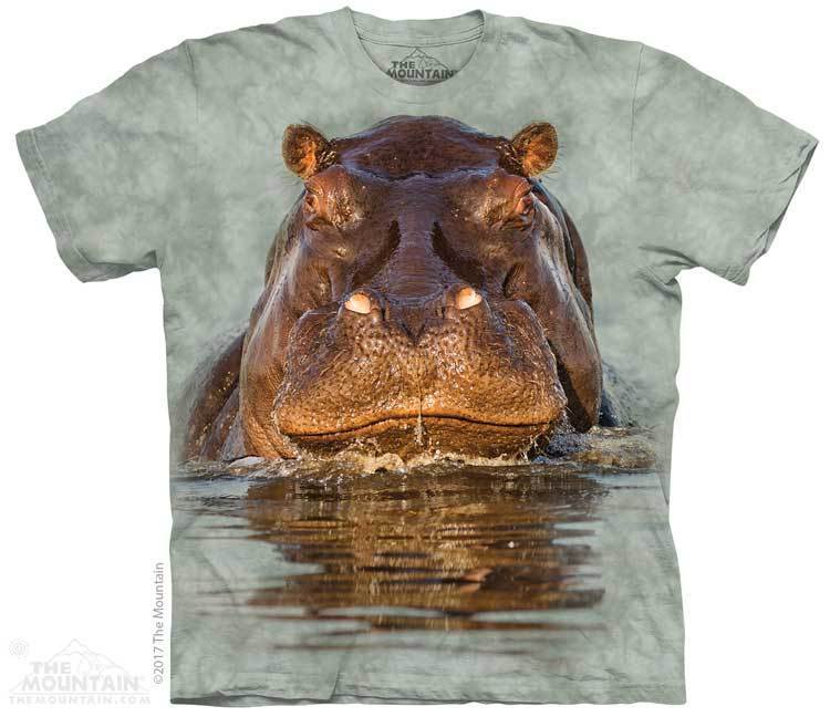 Hippo