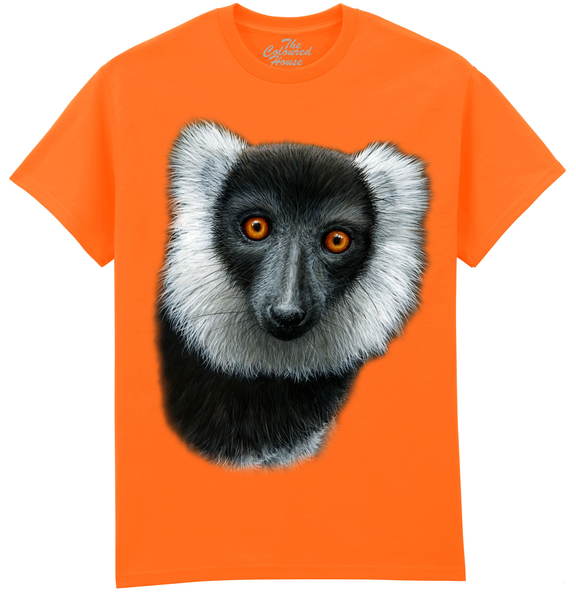 Black And White Ruffed Lemur