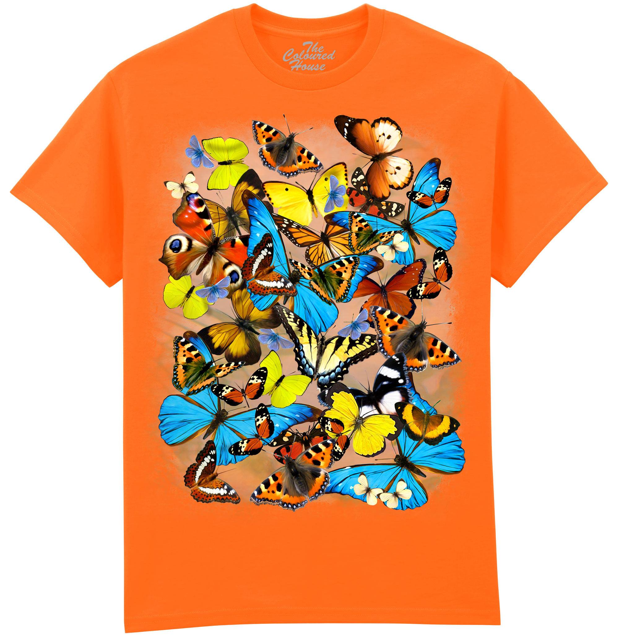 Butterflies Butterflies