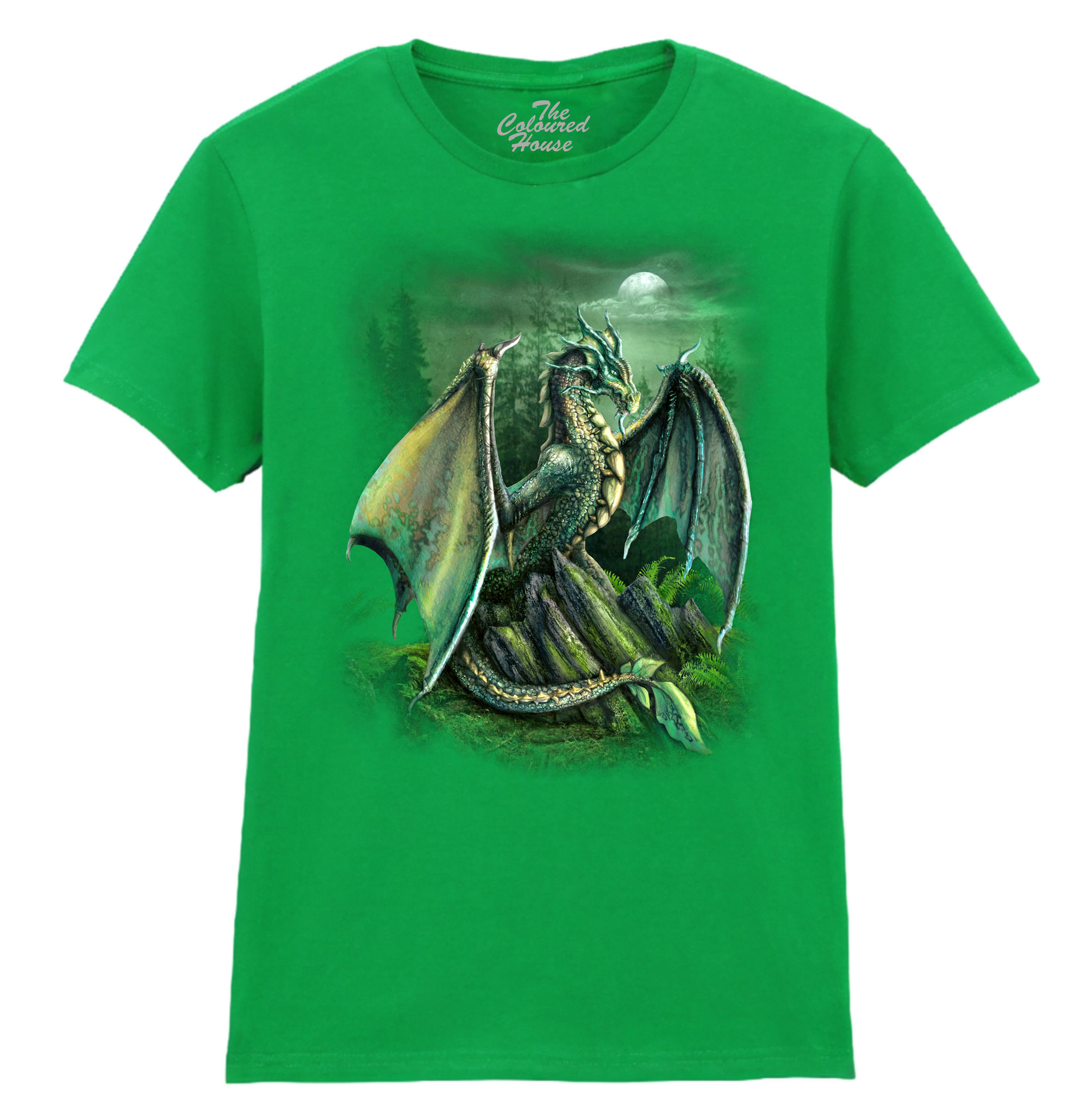 Garwin Dragon Ladies T-shirt