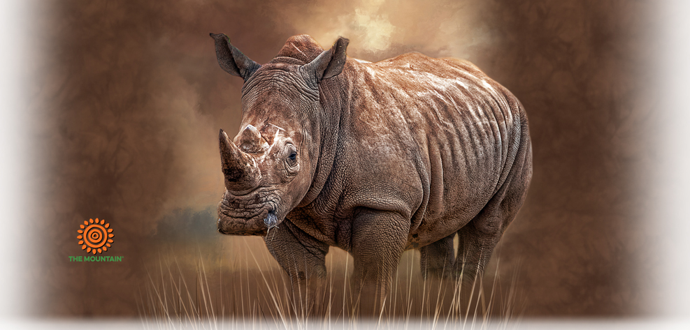 Tasse Stand Your Ground Rhino