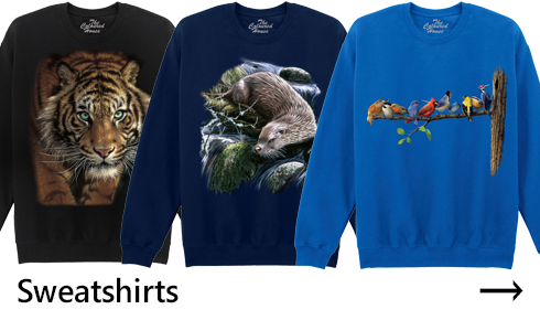 Sweatshirts