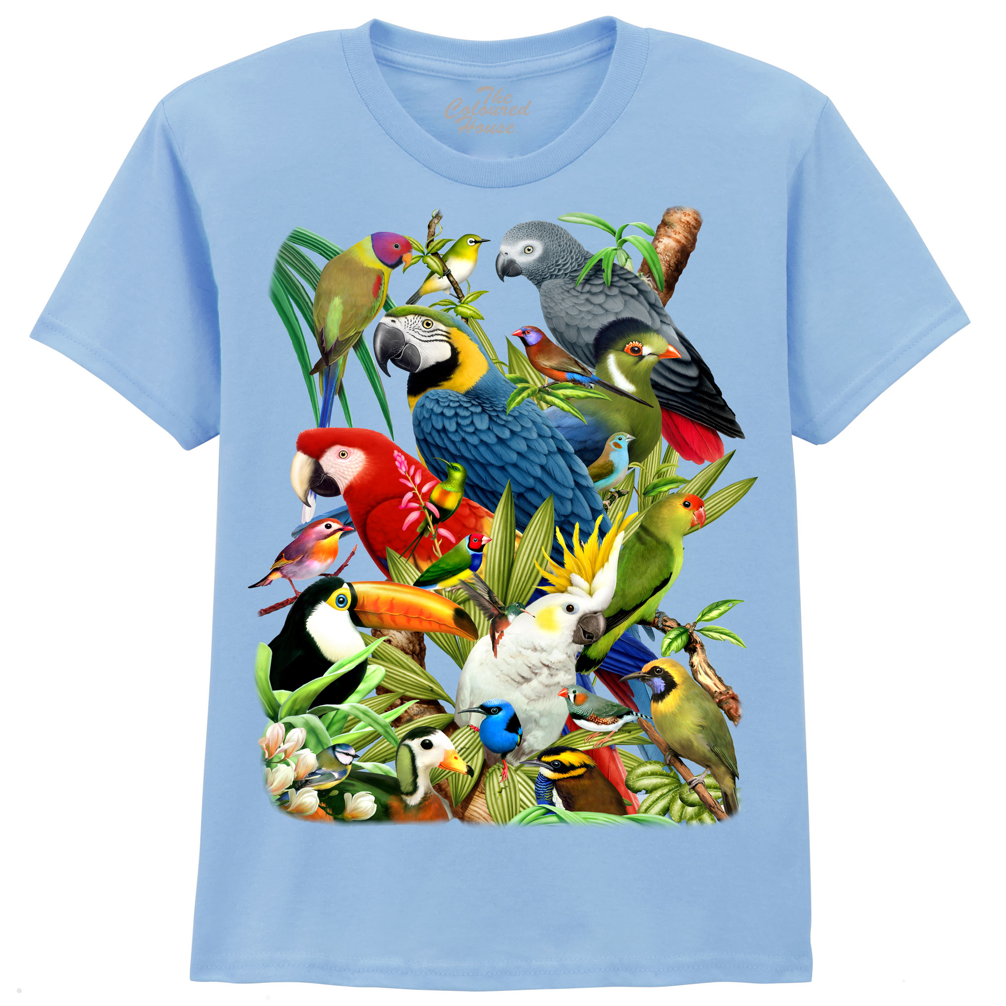 Avian World KIDS