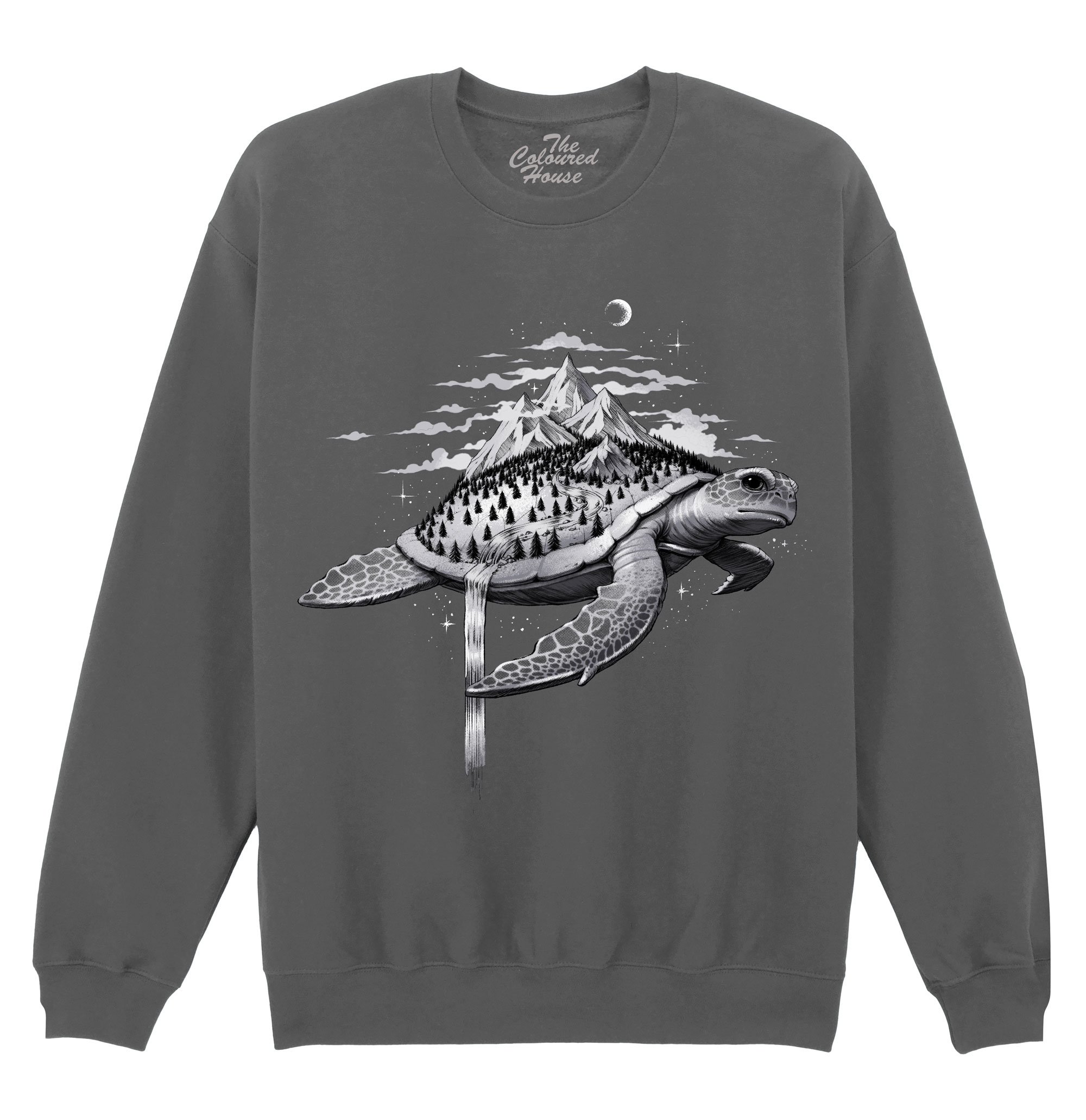 Adventure Turtle Sweater