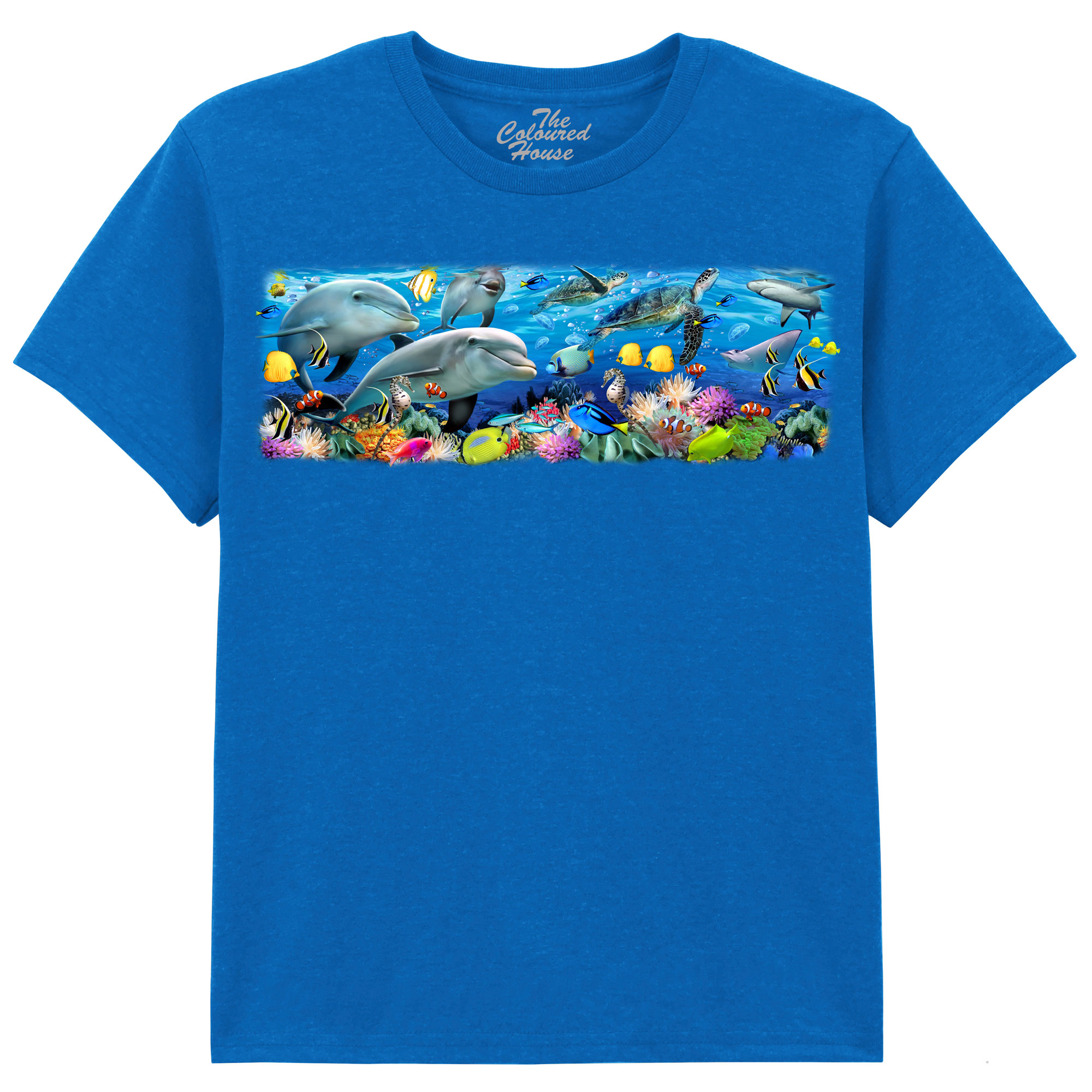 Undersea Panorama KIDS