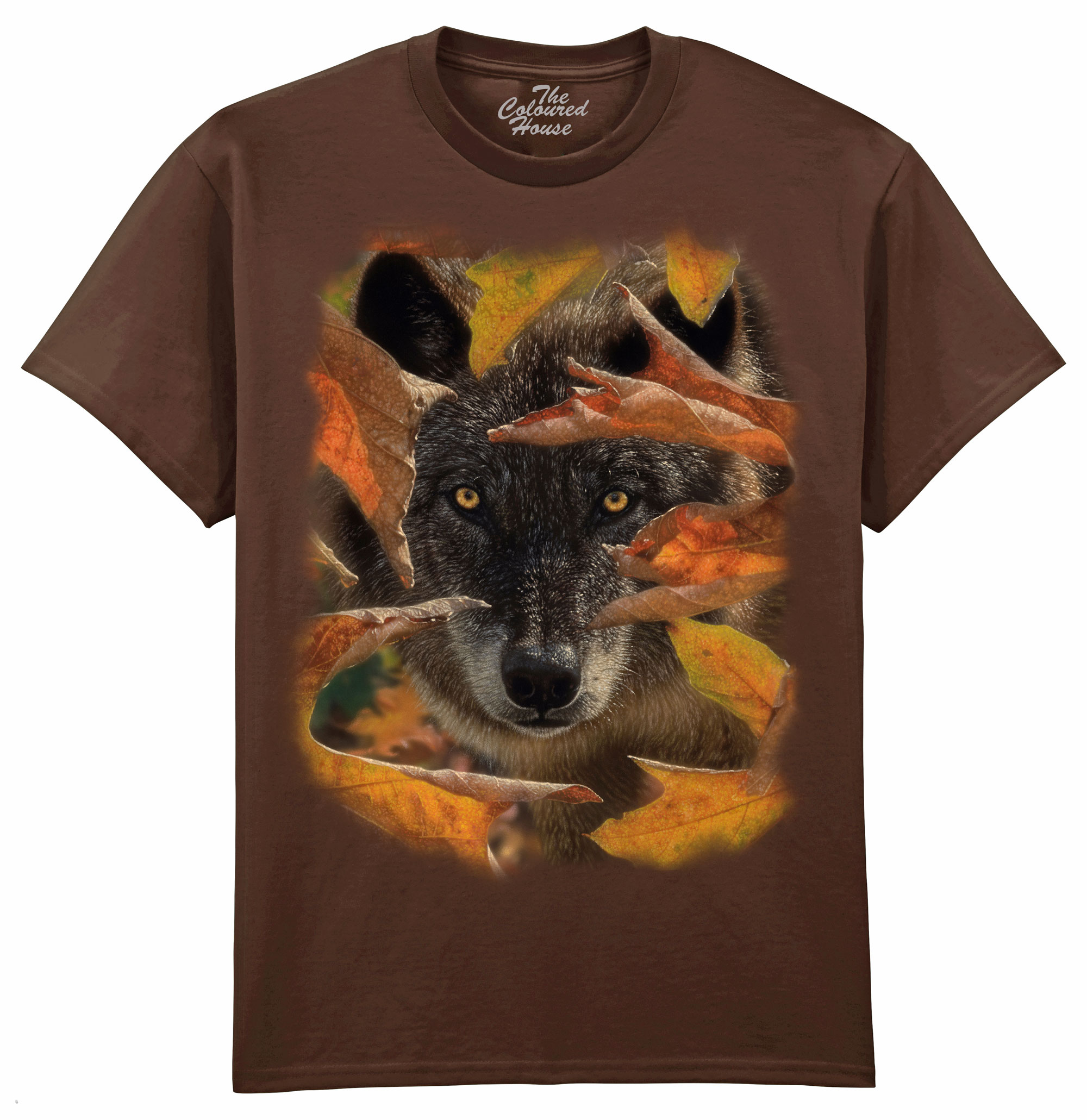 Autumn Black Wolf