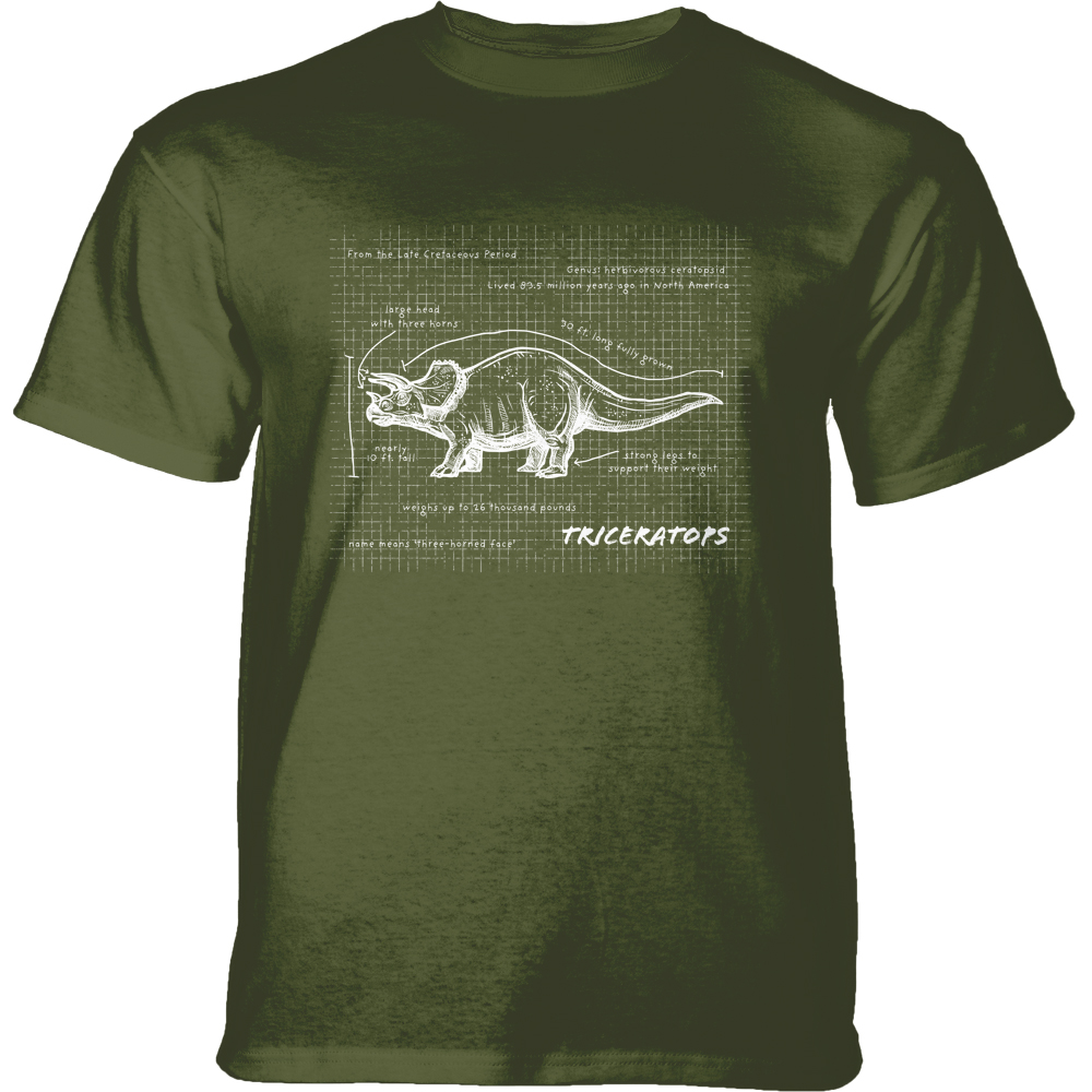 Triceratops Fact Sheet Green