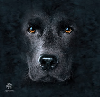 Black Lab Face Tumbler