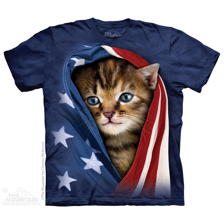Patriotic Kitten
