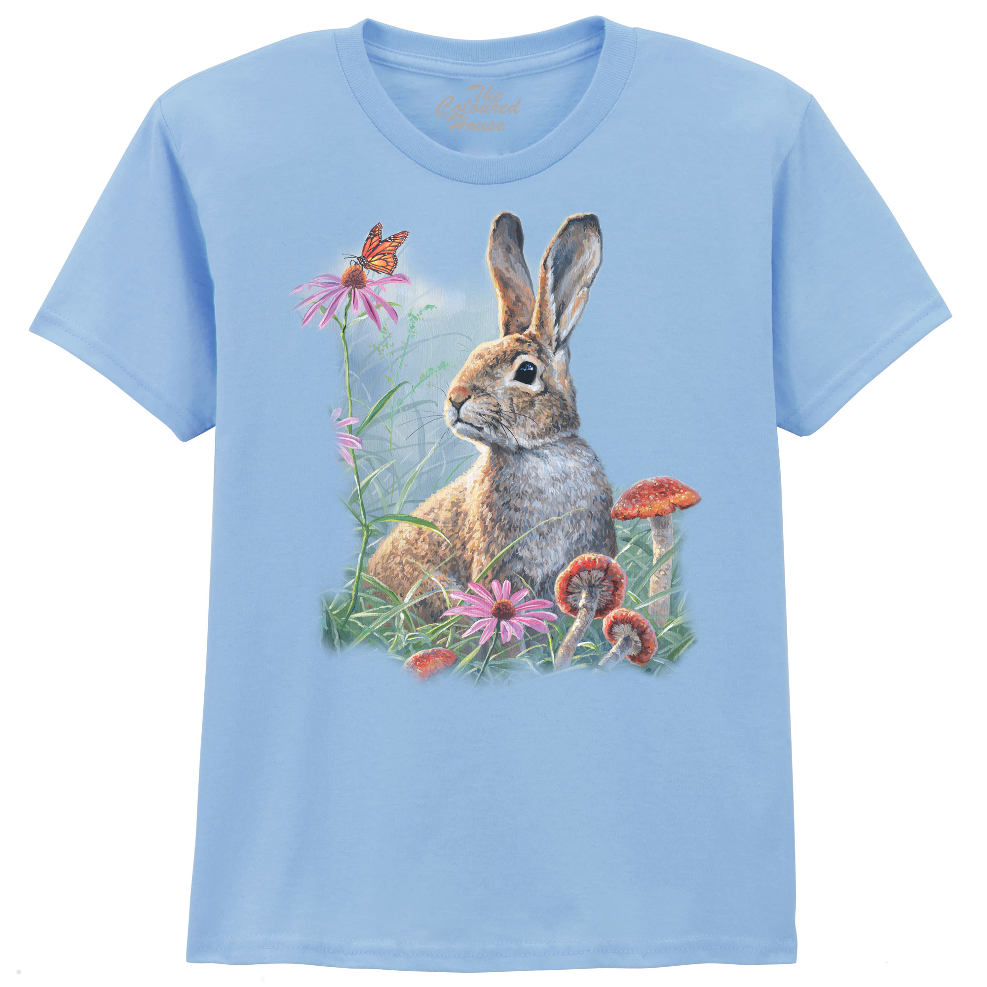 Curious Cottontail KIDS