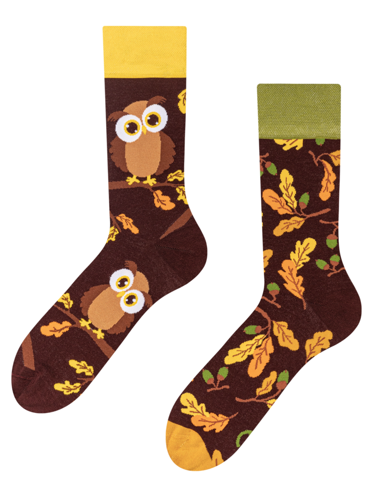 Regular Socks Curious Owl